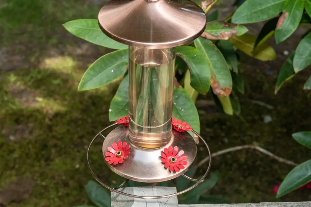 Hummingbird feeders