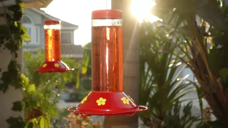 Two hummingbird feeders