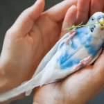 budgie in the hand