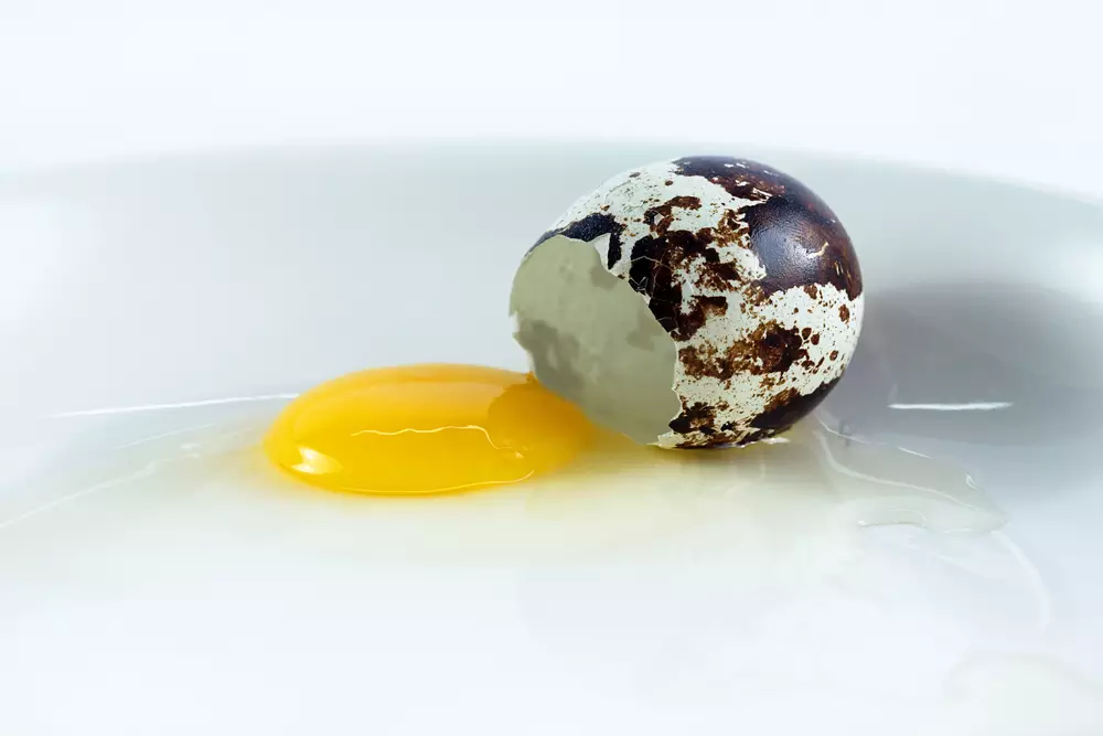 broken quail egg